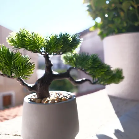 Apartment Ap Silvija *