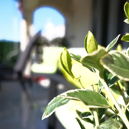 Ap Silvija Apartment *