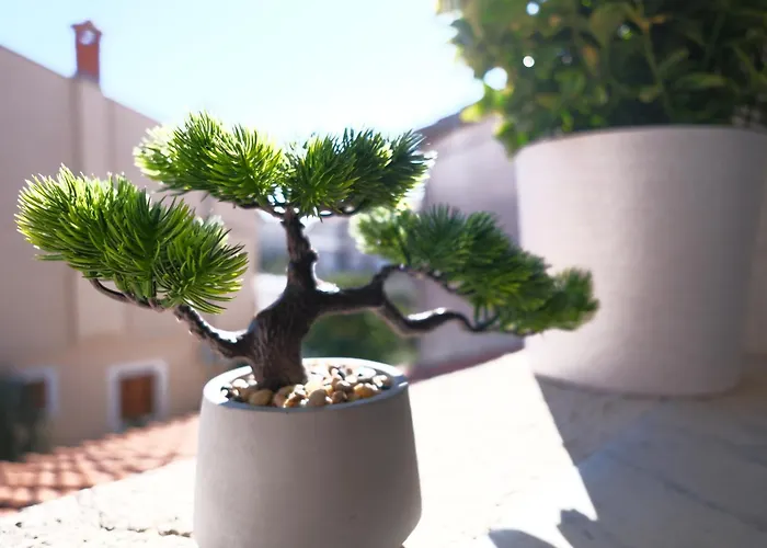 דירה Ap Silvija *