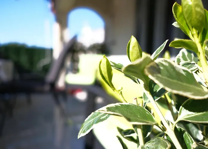 Ap Silvija דירה *