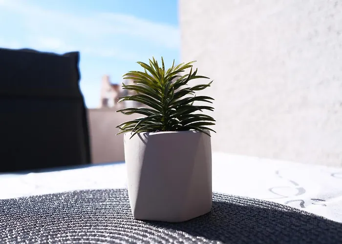 Ap Silvija זאדאר