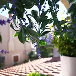 Ap Silvija Ζαντάρ