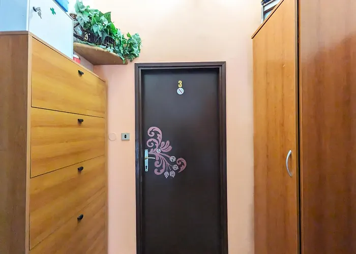 Ap Silvija زادار